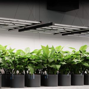 AC Infinity IONFRAME EVO3 LED Grow Light – Full Spectrum Indoor Plant Lamp