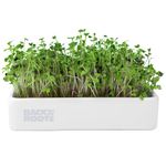 Back to the Roots Organic Microgreens Grow Kit with Ceramic Planter, Green