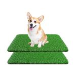 Artificial Grass For Dogs