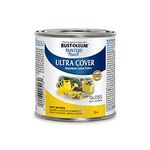 Rust-Oleum Multi-Purpose Paint in Sun Yellow, 236 mL