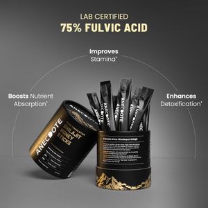 Anecdote Himalayan Shilajit Honey Sticks – Natural Energy Supplement