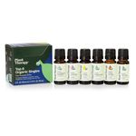 Plant Therapy Top 6 Organic Essential Oil Set - Lavender, Peppermint, Eucalyptus, Lemon, Tea Tree 100% Pure, USDA Organic, Natural Aromatherapy, Therapeutic Grade 10 mL (1/3 oz)