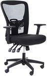 ALPHA HOME Office Chair Ergonomic Home Desk Chair Mid Back Mesh Computer Task Chair with Lumbar Support Executive Stool with Adjustable Armrest & Seat Cushion Rolling Swivel Desk Chair-Capacity 300LBS