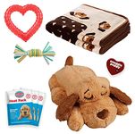 Snuggle Puppy - New Puppy Starter Kit (Neutral)