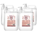 80% Alcohol Hand Sanitiser Liquid Rub with Pump - 4x 5L Litre - Kills 99% Bacteria, Germs - Sanitizer (Pack of 4)