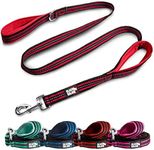 Black Rhino Dog Leash - Heavy Duty - Medium and Large Dogs - 5ft Long Leashes - Two Traffic Padded Comfort Handles for Safety Control Training - Double Handle Reflective Lead - (5 Ft, Red/Bl)