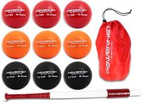 PowerNet Sweet Spot Training Bat + 