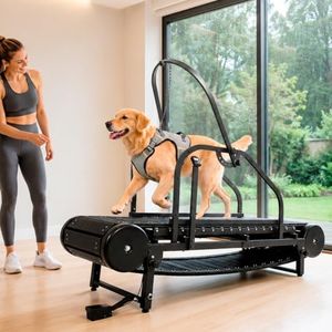 Dog Treadm