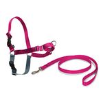 PetSafe Easy Walk Harness, No-Pull Walking Harness for Dogs, Adjustable Fit, Includes 1.8m Lead, Medium-Raspberry, Medium