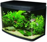 Interpet Insight Glass Aquarium Fis