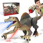 FRUSE Remote Control Dinosaur Toys,Electric RC Spinosaurus w/Light Tracing & Spray Mist,Dinosaur Robot Toys Powered by Rechargeable Battery,Jurassic Dinosaur Toys for Boys Girls Kids Age 3 4 5 6 7 8