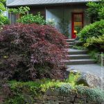 Brighter Blooms - Tamukeyama Japane