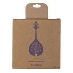Kadence STR-M01 Mandolin Strings | 8 String Set | Bronze Wound | GDAE Tuning Compatible | Bright Tone | For All Mandolins
