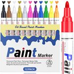 STANBLUE 12 Colors Paint Pens Paint Markers, Permanent Waterproof Paint Pen Oil Based Paint Marker Pens Set for Rocks Painting, Metallic Wood Fabric Plastic, Canvas Glass Mug, DIY Craft