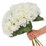 Tifuly White Hydrangea Artificial Flowers - 5 pcs Realistic Single 18.9 in Long Stem Fake Silk Hydrangea Bouquets for Party Wedding Centerpieces Home Office Decor