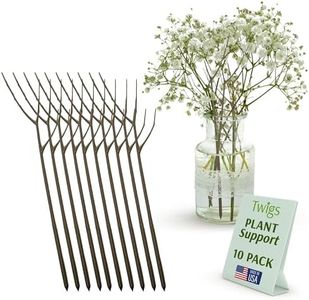 Twigs GA -