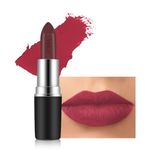 Red Lipstick, Matte Lipstick Lightweight Soft And Ultra Hydrating, Smooth,Waterproof,Highly Pigmented Velvet Texture Lipsticks Makeup Gifts (#19)