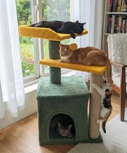 Wudyhub Cat Tree Indoor Climbing Activity Tower with Scratching Posts | Cat-84-Green & Yellow | 40x30x74 cm