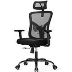 NOBLEWELL Ergonomic Office Chair, D