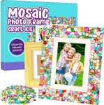 PURPLE LADYBUG Mosaic Photo Frame C