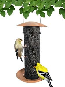 Songbird E
