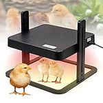 QCLUEU Chicken Brooder Heater, Chic