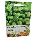 Cucumber Cucamelon Seeds in Pictorial Packet from a UK Seller Cute Fruits with Unique Crunch & Flavour