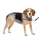 PetSafe Easy Walk No-Pull Dog Harne