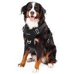 Funfox Dog Harness Xlarge Dog, No Pull Vest Harness with 2 Clips Training Anti Pull, Adjustable Pet Harness Soft with Vertical Handle, Night Reflection Safe Walking Large Breed Black XL