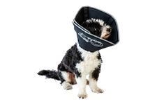 Comfy Cone Pet E-Collar, Medium, Black