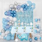 Boy Baby Shower Decorations