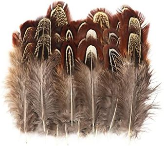 50 Pcs Natural Pheasant Feathers 2-3 Inches Plumage for Crafts Clothing Sewing Decorating Accessories