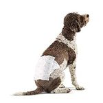 Amazon Basics Male Dog Wrap, Dispos