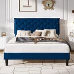 SHA CERLIN Queen Size Velvet Bed Fr