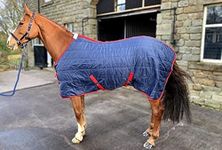 Turner Equestrian Lightweight Quilted Stable Rug 100g Fill (5'6")