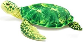 Olivia the Tortoise | 20 Inch Big S