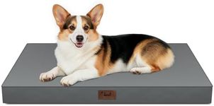 Tail Stories Outdoor Orthopedic Dog