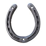 Horseshoes