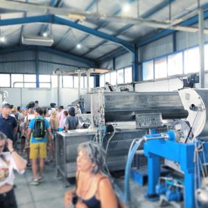 NIKOLAOS Extra Virgin Olive Oil, 3L – Cold Pressed Greek Olive Oil