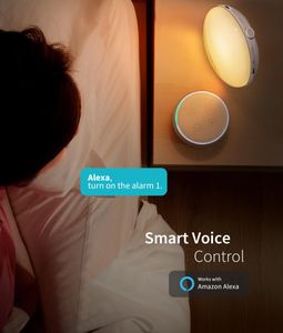 ecozy Sunrise Alarm Clock – Wake-Up Light with Adjustable Brightness