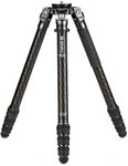 Benro Mammoth Carbon Fiber Tripod