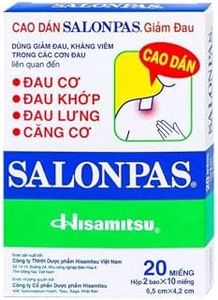 Hisamitsu Salonpas Heat Patch Herbal Menthol Self Adhesive Medical Plaster Pain Relief Patch for Sore Muscles (20 Patches)