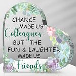 Bucherry Coworker Gifts for Women, Chance Made Us Colleagues, Friend Gifts Birthday Gift for Women Friendship Keepsake Workmates Inspirational Gift for Female Work Bestie (Heart Succulent)