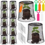 10 Pcs 8inch Chicken Wire Plant Covers Wire Garden Cloches Chicken Wire Cloche Plant Protector Metal Heavy Duty Garden Plant Cloche for Keeping Bunnies Chicken Squirrels Birds Other Out