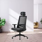 Featherlite Amaze Project Arm Chair (High Back - Black,Polypropylene)