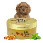 Tell Tails Paw Cream for Dogs - 50gm | Hydrates & Conditions Paws | Heals Cracked,Rough Paws | Enriched with Vitamin E, Candelilla Wax, Sea Buckthorn Oil & Mint Oil | Restores Moisture & Adds Shine