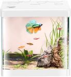 5 Gallon Glass Small Fish Tank,Bett