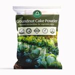 TrustBasket Groundnut Cake Fertilizer for Plants – Organic Badam Khol Fertilizer for Flowers, Fruits & Vegetables | Natural Bio-Fertilizer for Improved Yield & Soil Health | 1Kg