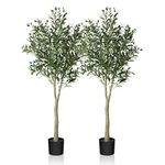 CROSOFMI Artificial Olive Tree Plant 5 Feet Fake Topiary Silk Tree, Perfect Faux Plants in Pot for Indoor Outdoor House Home Office Garden Modern Decoration Housewarming Gift,2Pack