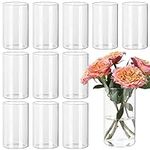 SUPMIND 12pcs Clear Cylinder Vases 